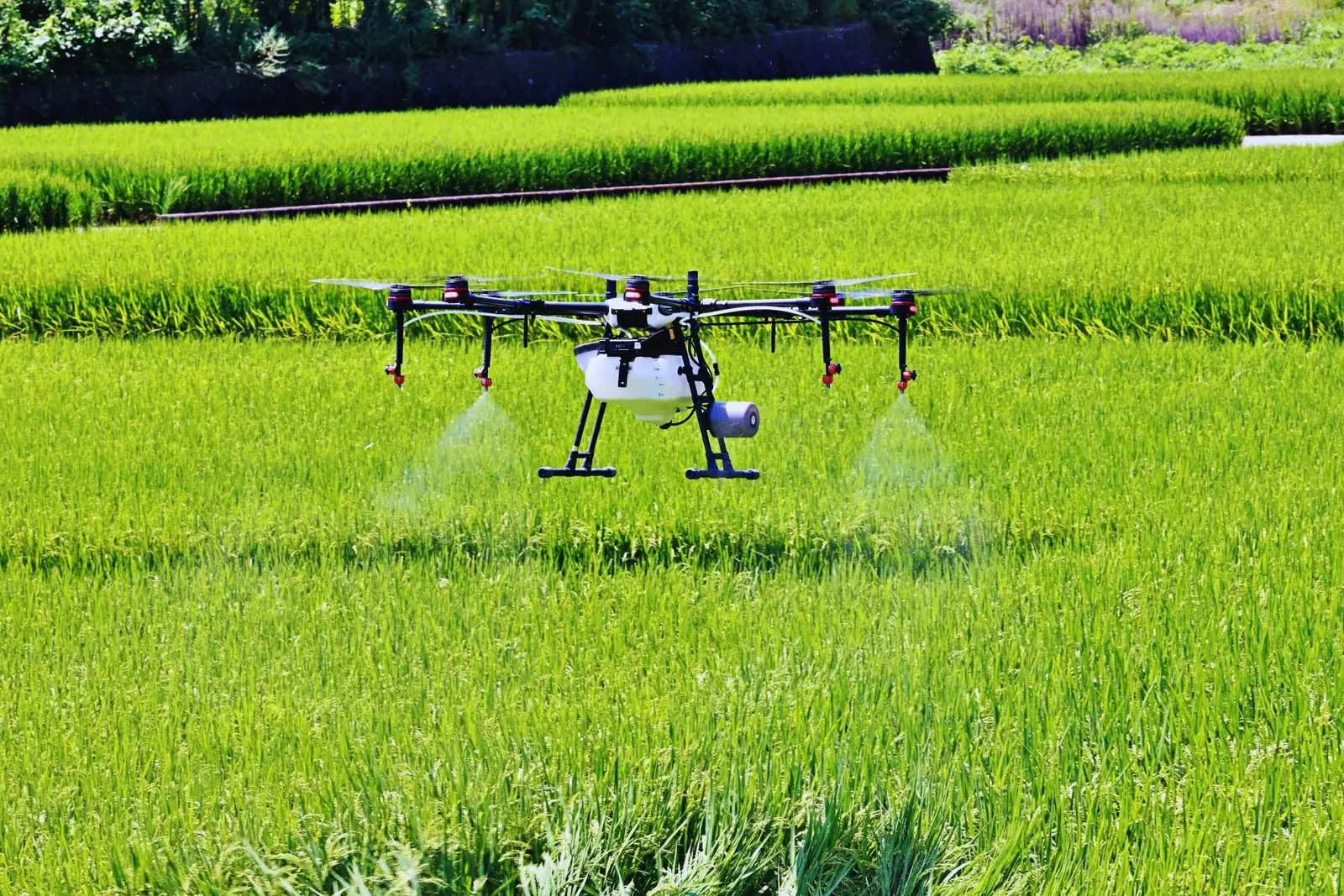 水田で農薬を散布する農業用ドローン